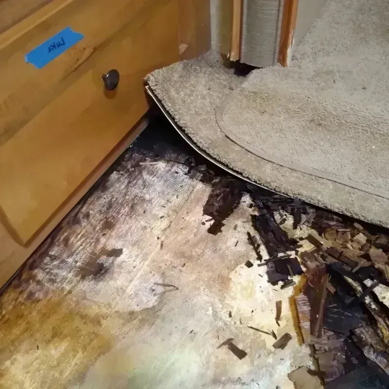 Best Wood Floor Water Damage Service in Denver, IA